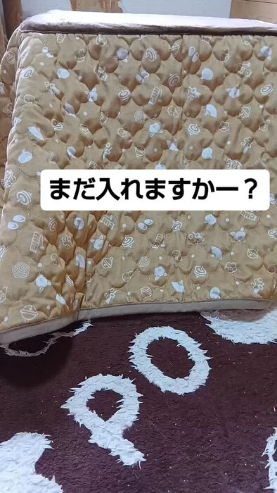 画像1856