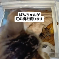 画像1870