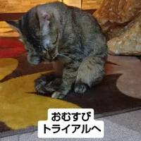 画像1948