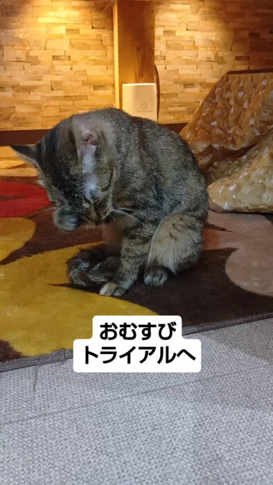 画像1948