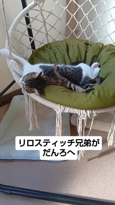 画像1950