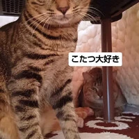 画像1978