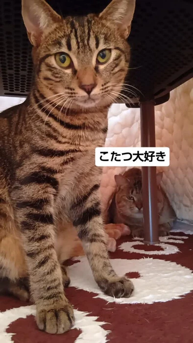 画像1978