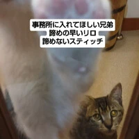 画像1982