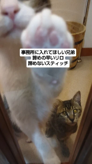 画像1982