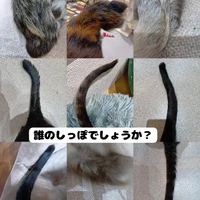 画像1989