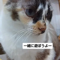 画像1991