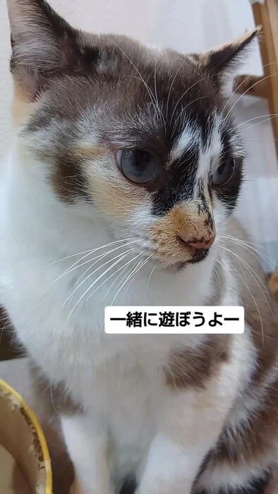 画像1991
