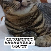 画像1993