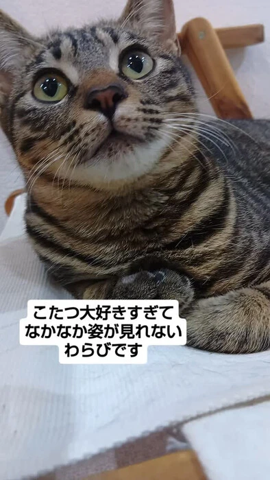 画像1993