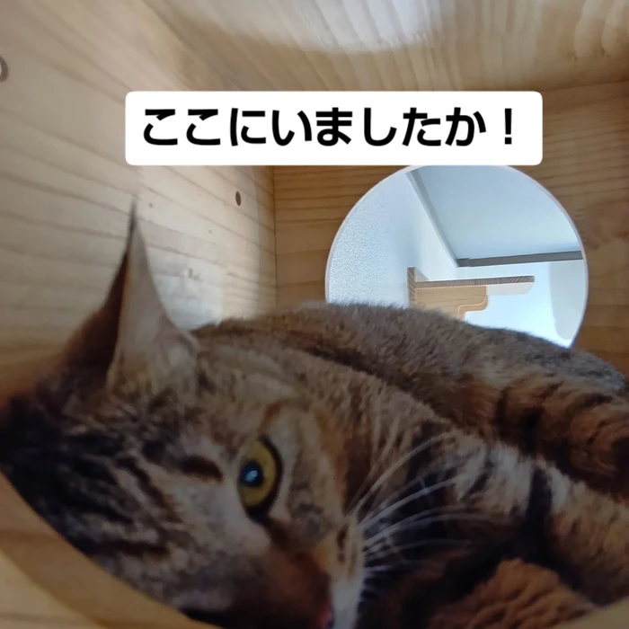 画像2001