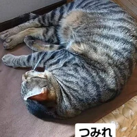 画像2005