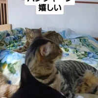画像2007