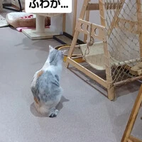 画像2009