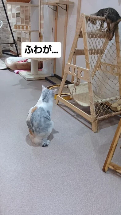 画像2009