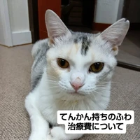 画像2011