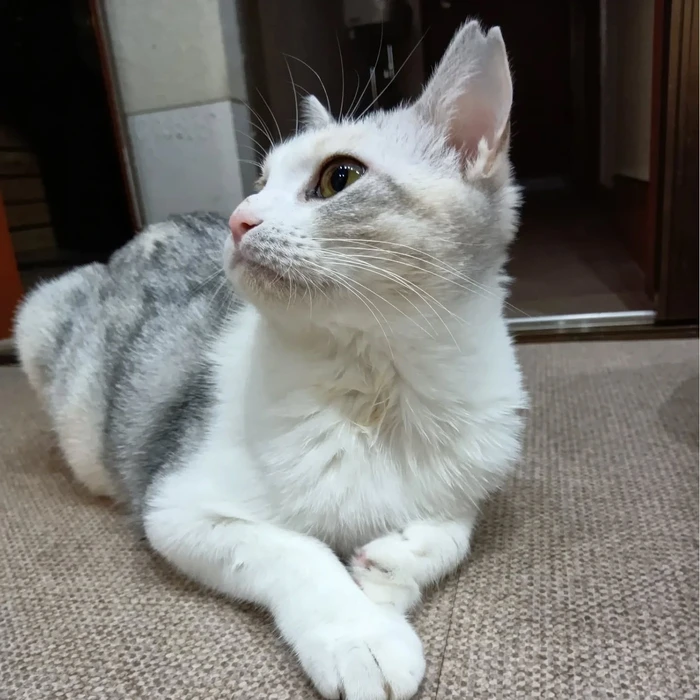 画像2012