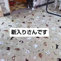 画像2019