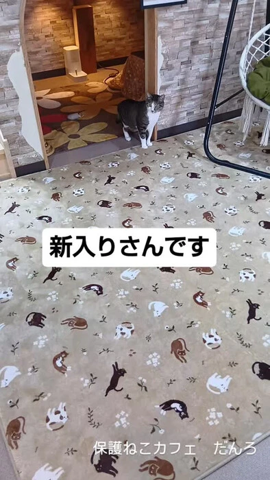 画像2019