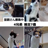 画像2021