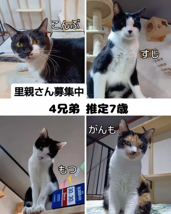 画像2021