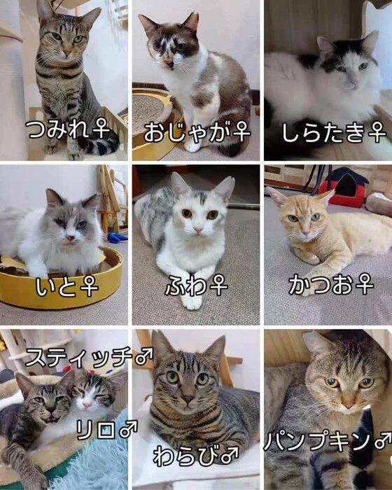 画像2023