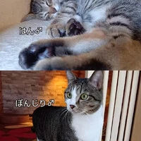 画像2025