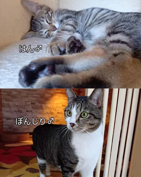 画像2025