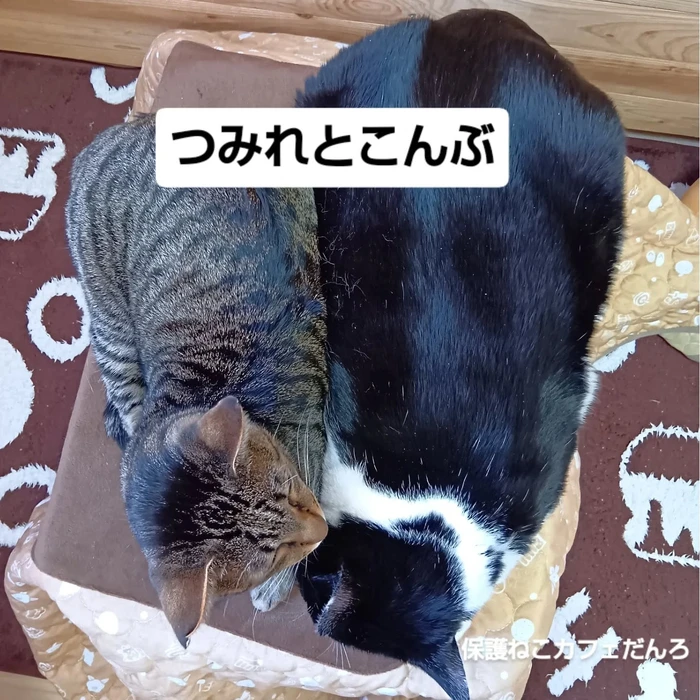画像2032