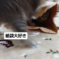 画像2037