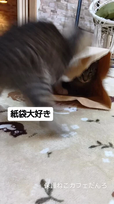 画像2037
