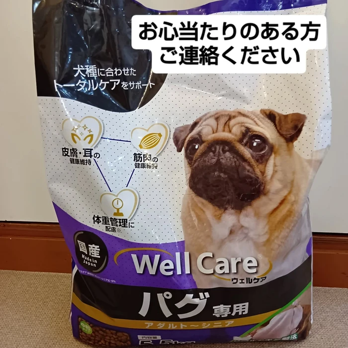 画像2039