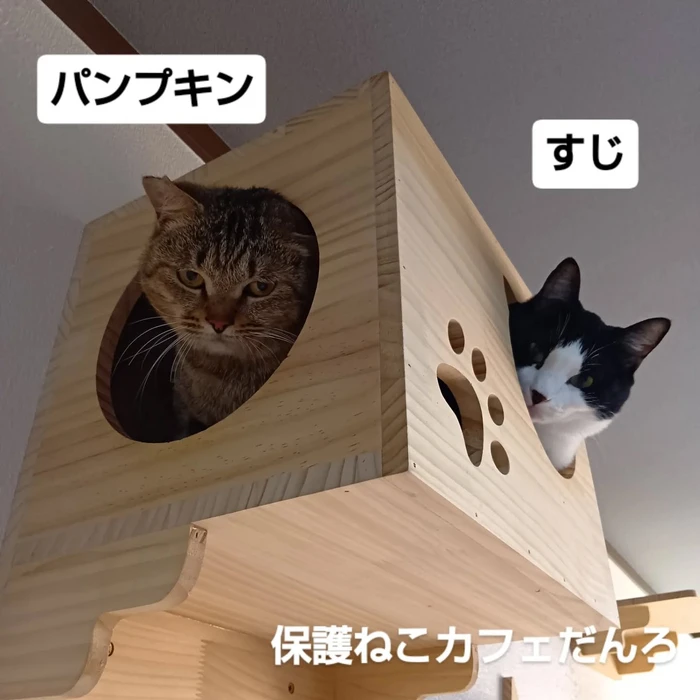 画像2045