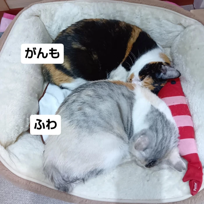 画像2055