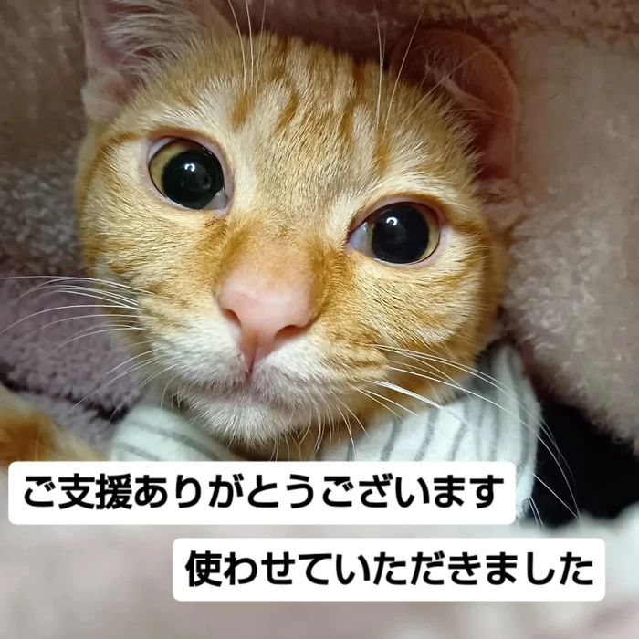 画像2057