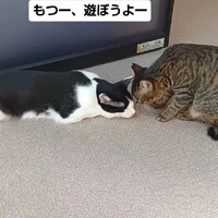 画像2066