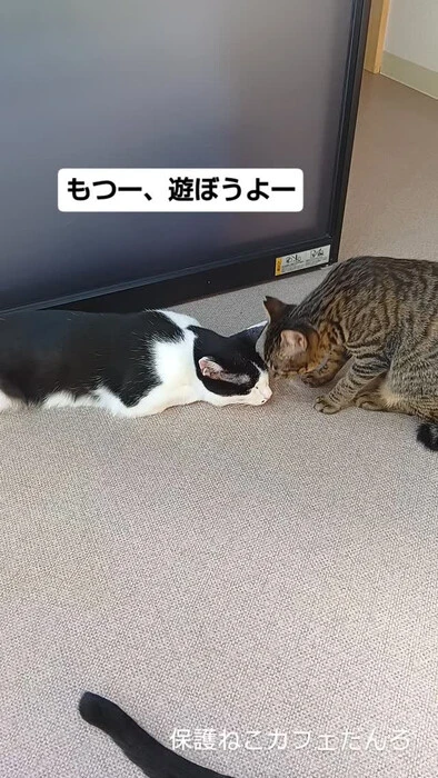 画像2066