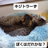 画像2068