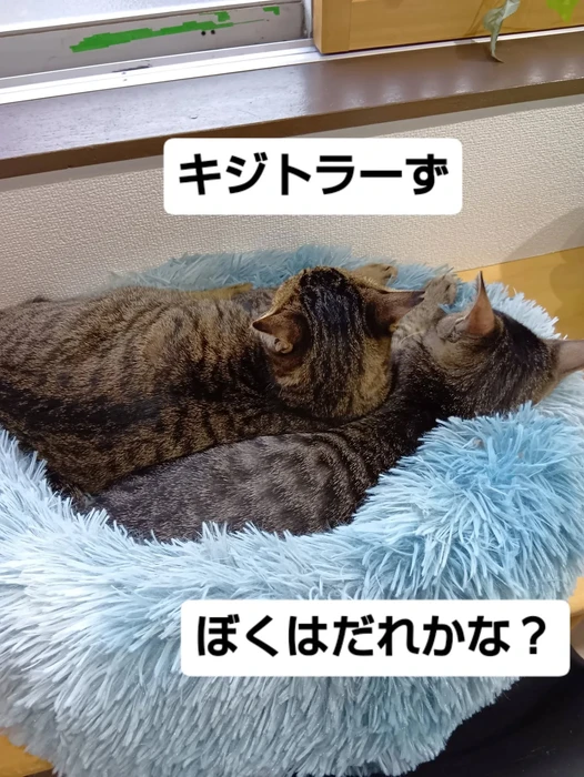 画像2068