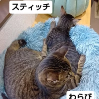 画像2069