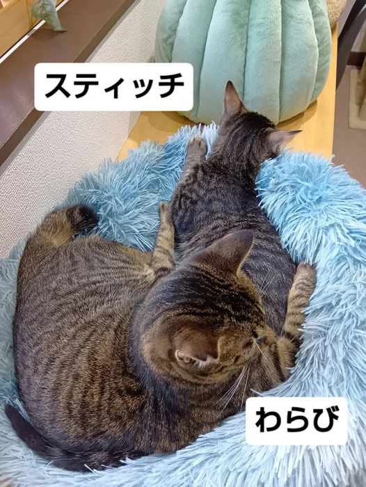 画像2069