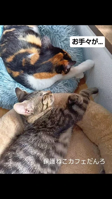 画像2073