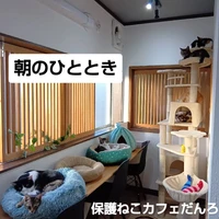 画像2075