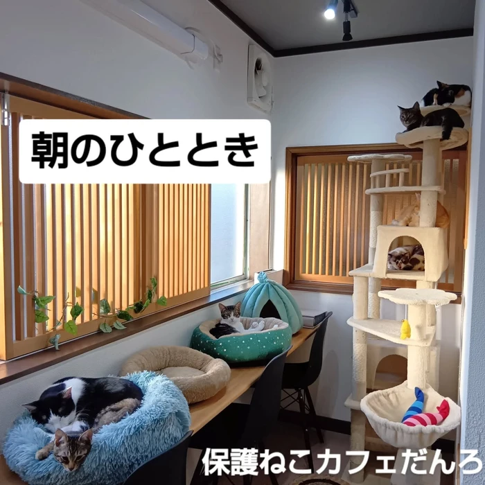 画像2075