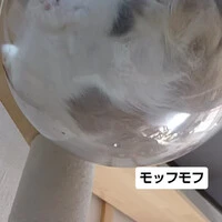 画像2078