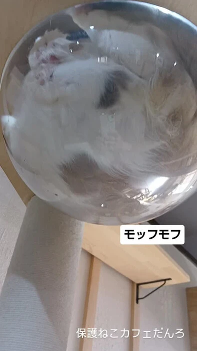 画像2078