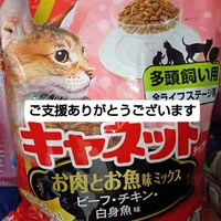 画像2080