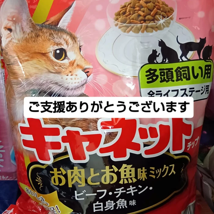 画像2080