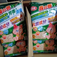 画像2081