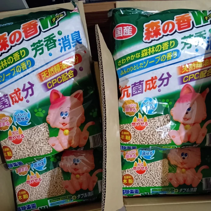 画像2081